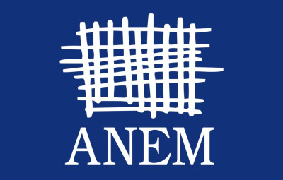 AnemLogo