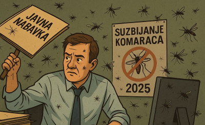 Komarci 2025 NB 2