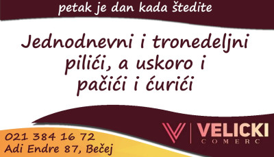 VelickiPiliciPaciciCurici1