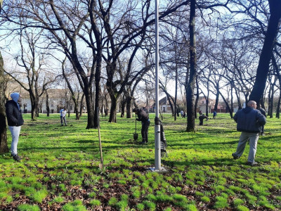 ZeleniBecej