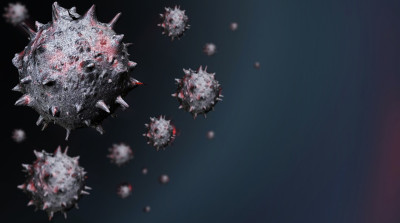 korona virus kovid 19 4