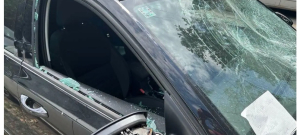 ANEM ALARM: Nadležni hitno da istraže razbijanje automobila i zaštite porodicu Dinka Gruhonjića