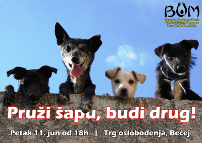 pruzisapu2021
