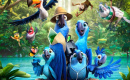 Rio 2