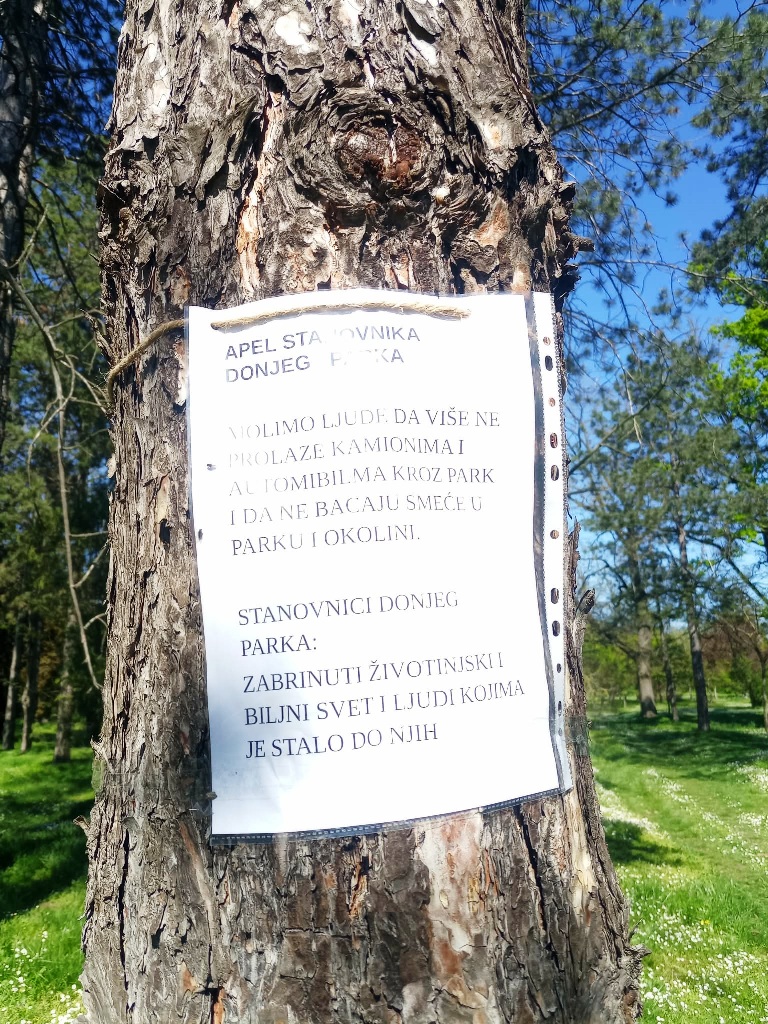 ApelNaDrvetu