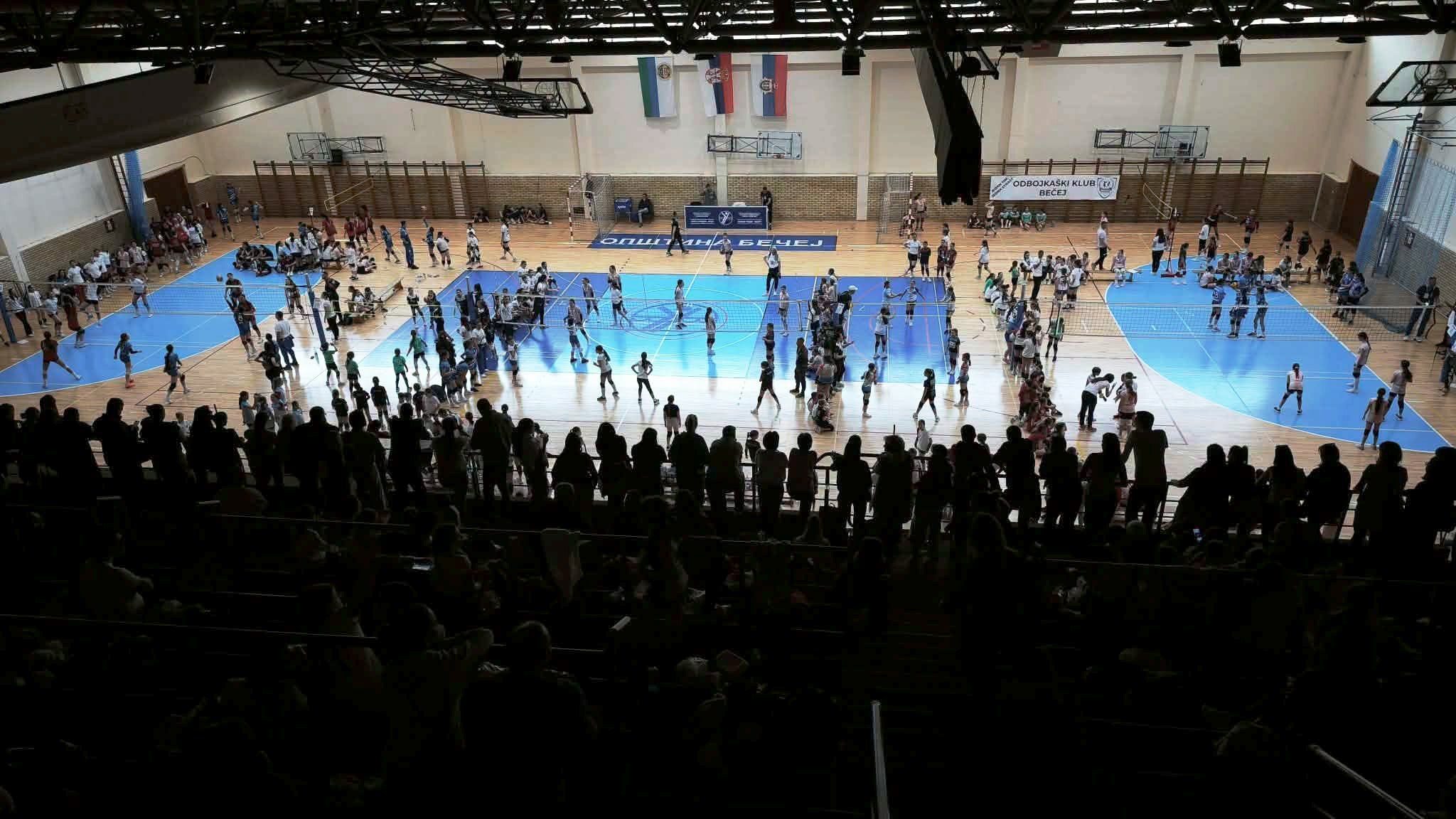 MiniVolley1
