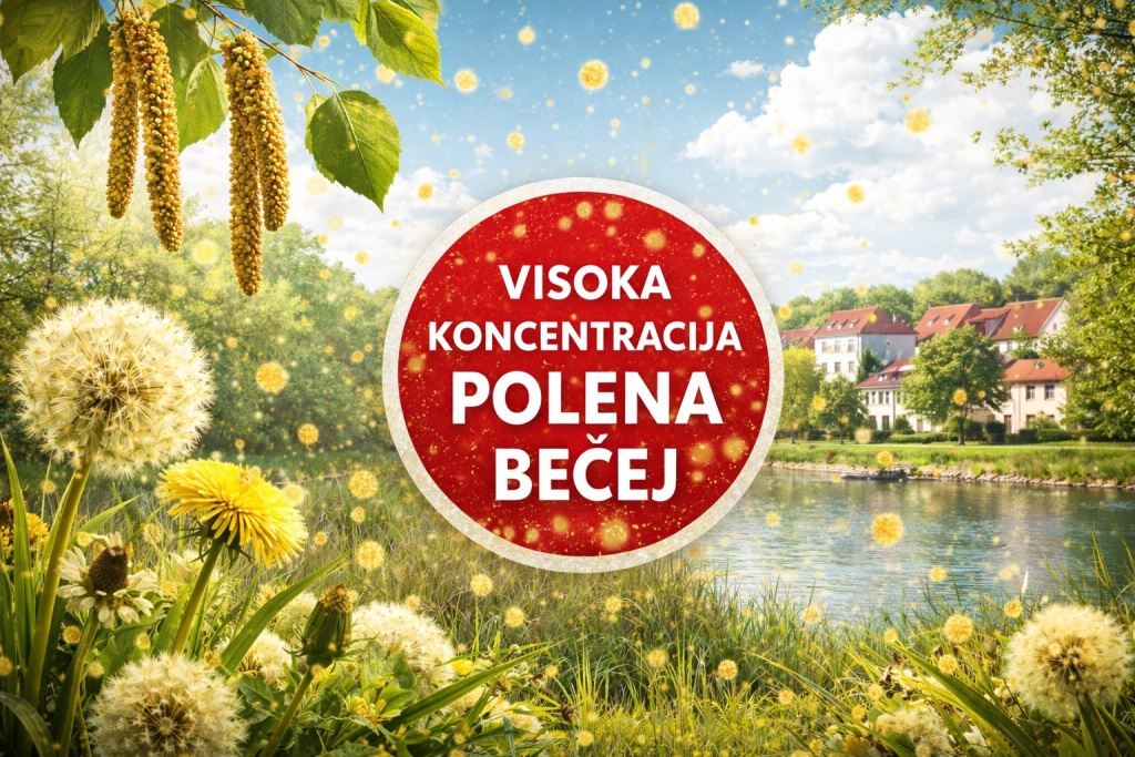PolenBecej12042026