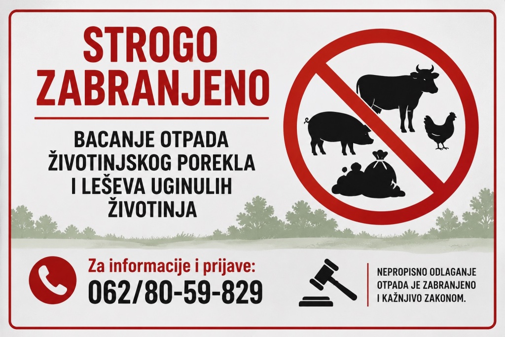 Posle više provera i odgovora nadležnih: Šta smo saznali o prijavi i zbrinjavanju uginulih životinja u Novom Bečeju?