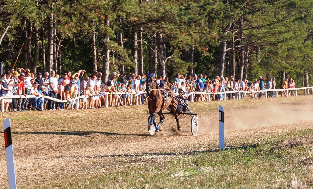 Kasacke Trke 20 septembar Becej 2025