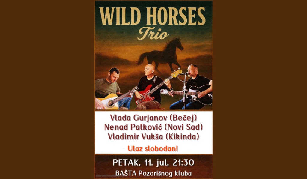 Koncert Wild Horses Jul 2025